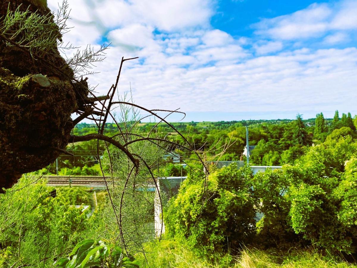 Сasa de vacaciones La Troglo Aux Oiseaux Montrichard